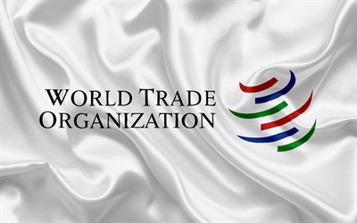 Чего ждать от ВТО